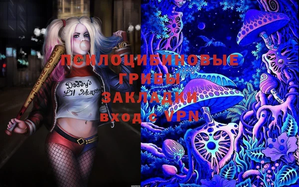 стафф Михайлов