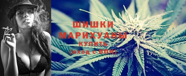 стафф Михайлов