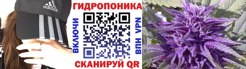 Каннабис сатива сколько стоит Никольск